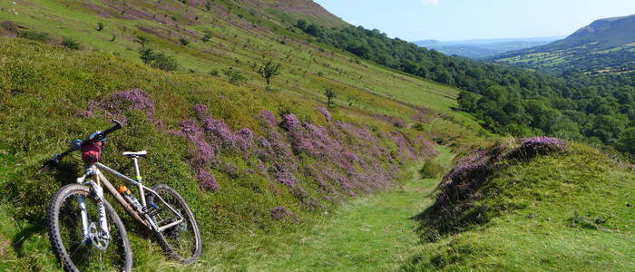 mt brighton mountain biking